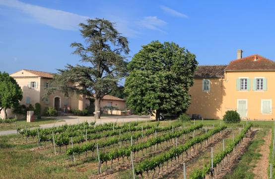 Het domein met grenache-stokken in de voortuin