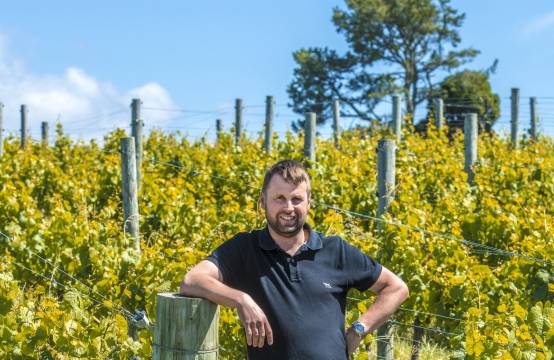 Wijnmaker Damien Yvon in de wijngaard
